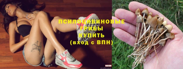 СК Балахна